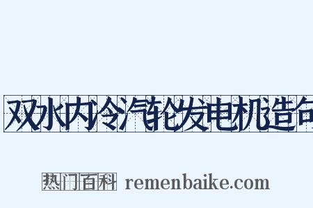 双水内冷汽轮发电机造句是什么意思的图片